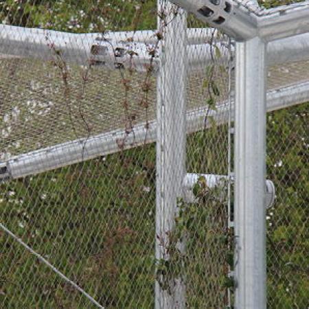 VINCENNES HAYVANAT BAHÇESİ, PARİS