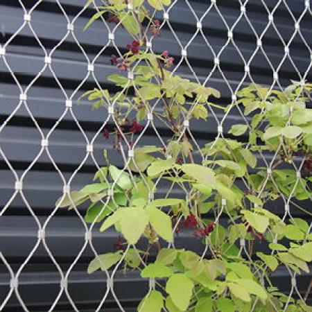 VINCENNES HAYVANAT BAHÇESİ, PARİS