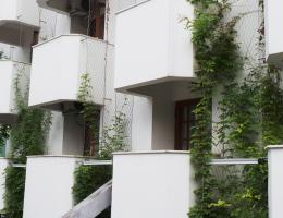 Cephe Yeşillendirme - Akçakoca Diapolis Hotel