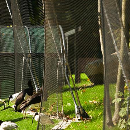YÜRÜYEREK GEZİLEBİLEN BÜYÜK KUŞ KAFESİ - KRONBERG