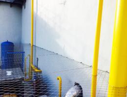 X-Tend Emniyet - Polatlı Şişecam Fabrikası
