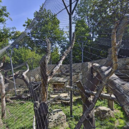 KAR LEOPARLARI İÇİN DIŞ MEKAN KAPALI ALAN - DRESDEN