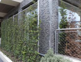 Cephe Yeşillendirme - Sefer Şensoy Apartmanı