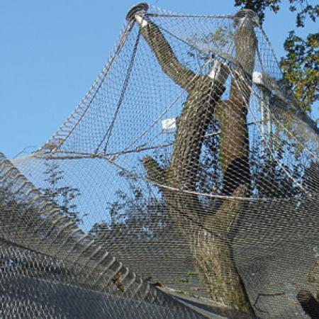 LEOPARLAR İÇİN DIŞ MEKAN KAPALI ALAN - BERN