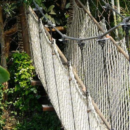 GONDWANALAND ASMA KÖPRÜ, LEIPZIG HAYVANAT BAHÇESİ