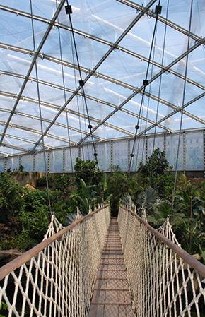 GONDWANALAND ASMA KÖPRÜ, LEIPZIG HAYVANAT BAHÇESİ