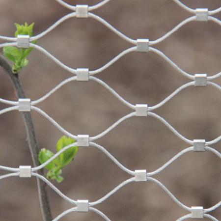 VINCENNES HAYVANAT BAHÇESİ, PARİS