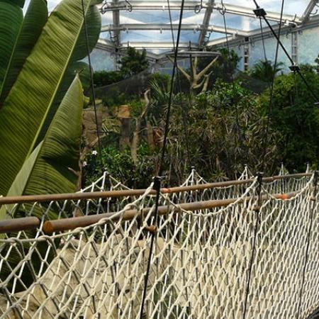 GONDWANALAND ASMA KÖPRÜ, LEIPZIG HAYVANAT BAHÇESİ