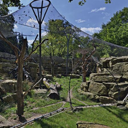 KAR LEOPARLARI İÇİN DIŞ MEKAN KAPALI ALAN - DRESDEN