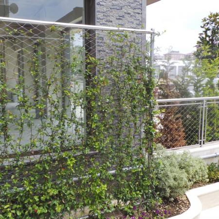 Cephe Yeşillendirme - Sefer Şensoy Apartmanı
