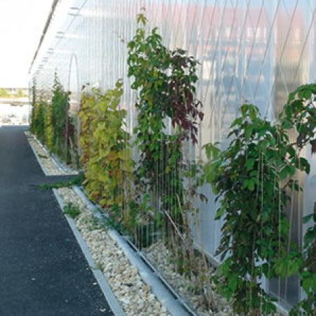 OTOBÜS DEPOSU, INGOLSTADT