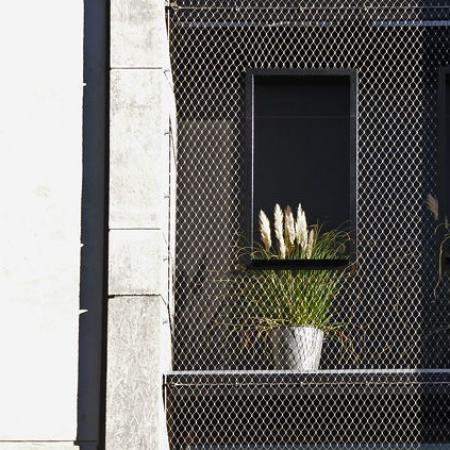 PHED BERLIN