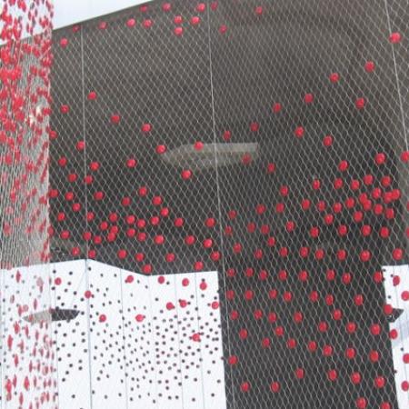 SWISS PAVILION, ŞANGAY
