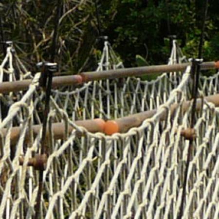 GONDWANALAND ASMA KÖPRÜ, LEIPZIG HAYVANAT BAHÇESİ