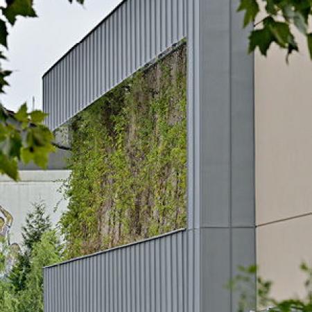 CHINON CENTER, HOFHEIM