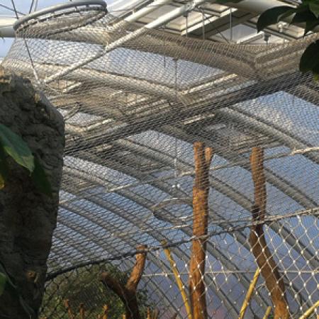 ORANGUTANLAR İÇİN İÇ MEKAN KAPALI ALAN
