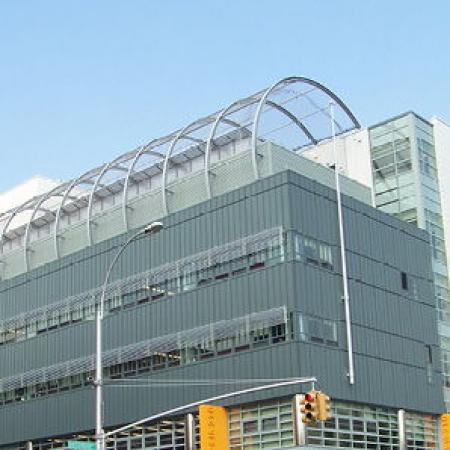 P.SI.S 210 DEVLET OKULU, NEW YORK