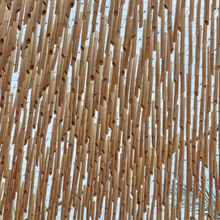 X-TEND Bambu Gölgelik - EXPO 2016