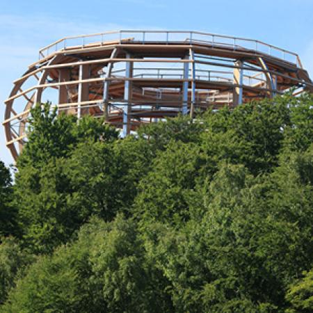 AĞAÇLAR ÜSTÜNDE YÜRÜYÜŞ, RÜGEN