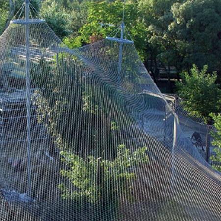 ORANGUTANLAR İÇİN KAPALI ALAN