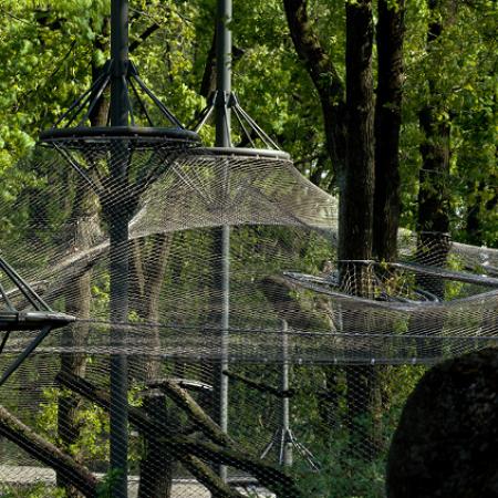 LEOPARLAR İÇİN DIŞ MEKAN KAPALI ALAN - ARNHEIM