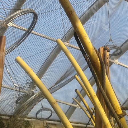 ORANGUTANLAR İÇİN İÇ MEKAN KAPALI ALAN