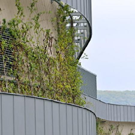 CHINON CENTER, HOFHEIM