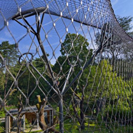 BONOBO MAYMUNLARI İÇİN DIŞ MEKAN KAPALI ALAN - WUPPERTAL