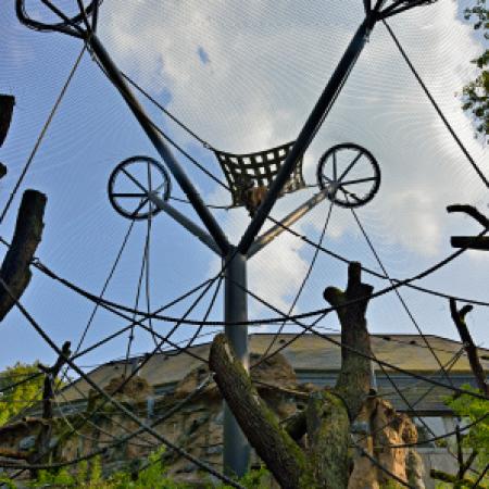 BONOBO MAYMUNLARI İÇİN DIŞ MEKAN KAPALI ALAN - WUPPERTAL