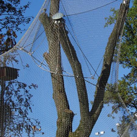 LEOPARLAR İÇİN DIŞ MEKAN KAPALI ALAN - BERN
