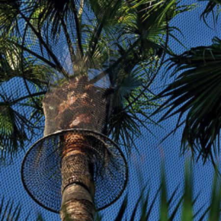 YÜRÜYEREK GEZİLEBİLEN BÜYÜK KUŞ KAFESİ