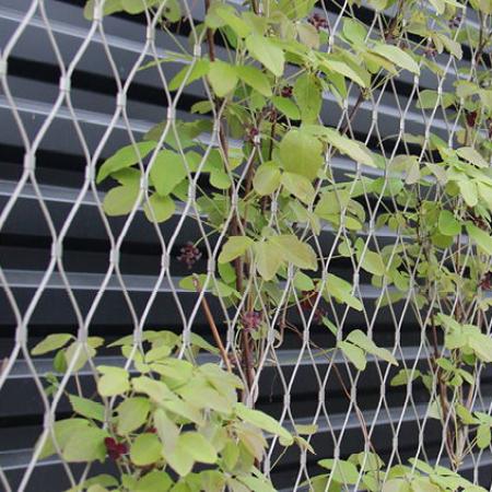 VINCENNES HAYVANAT BAHÇESİ, PARİS