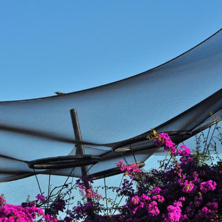 YÜRÜYEREK GEZİLEBİLEN BÜYÜK KUŞ KAFESİ