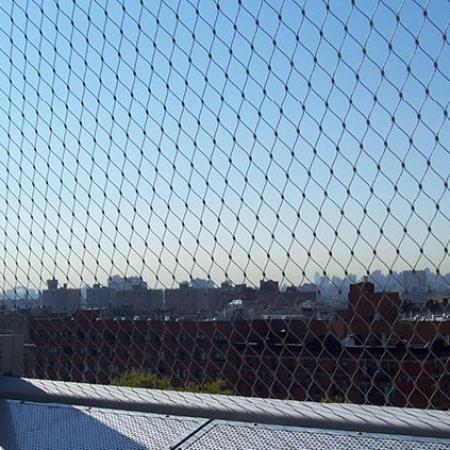 P.SI.S 210 DEVLET OKULU, NEW YORK