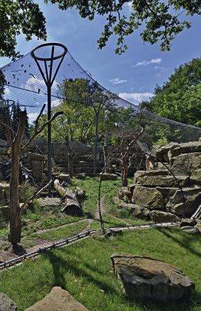 KAR LEOPARLARI İÇİN DIŞ MEKAN KAPALI ALAN - DRESDEN