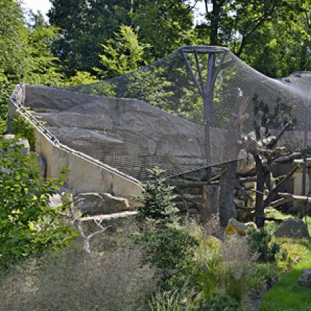 KAR LEOPARLARI İÇİN DIŞ MEKAN KAPALI ALAN - DRESDEN