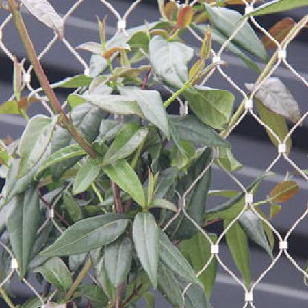 VINCENNES HAYVANAT BAHÇESİ, PARİS