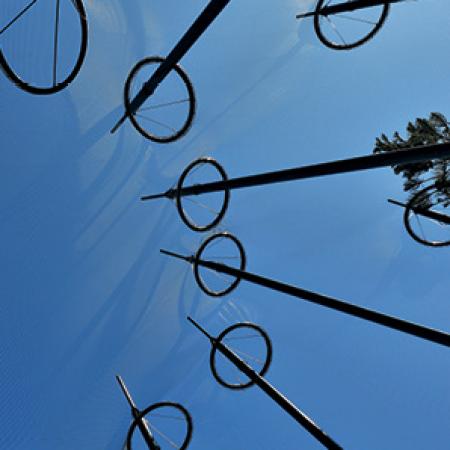 YÜRÜYEREK GEZİLEBİLEN BÜYÜK KUŞ KAFESİ