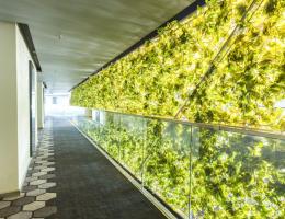 Cephe Yeşillendirme - Bosphorus Hotel Sorgun