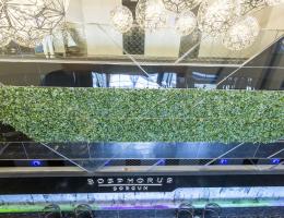 Cephe Yeşillendirme - Bosphorus Hotel Sorgun