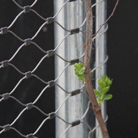 VINCENNES HAYVANAT BAHÇESİ, PARİS