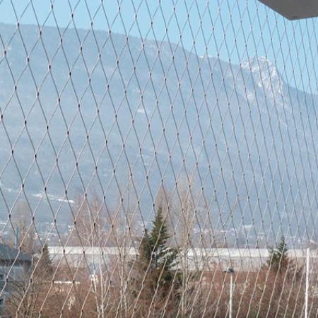 LE KOALA, LE BOURGET DU LAC